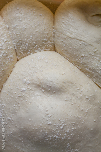 masa fermentada
