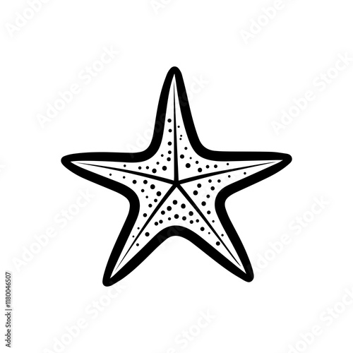 Starfish hand-drawn sketch illustration Sea animals photo