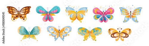 Colorful Butterfly with Wings and Antenna Vector Set