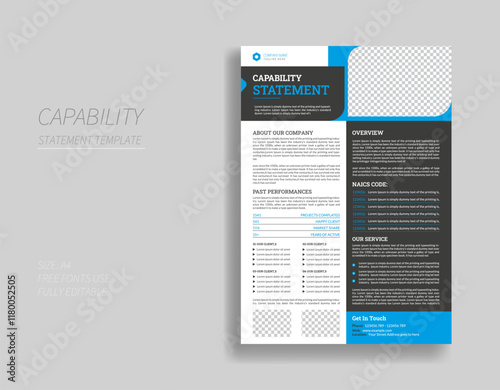 Capability Statement Design template photo