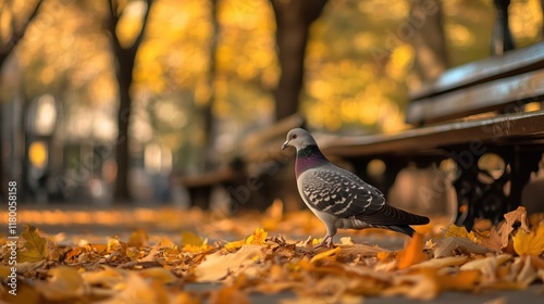 Miejski park w spokojnej atmosferze, z gołębiem spacerującym po opadłych liściach, w naturalnym świetle, które uwydatnia ciepłą kolorystykę jesiennego krajobrazu.