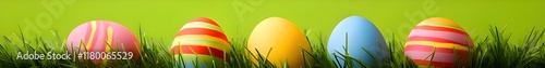 easter banner . a row of easter eggs ornament on green background in banner format	
 photo