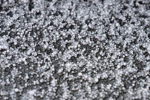 Large hail in a summer hail storm.