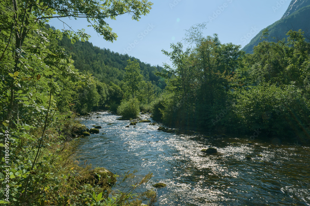 Fototapeta premium Peaceful river winding through a lush, green forest under a clear blue sky.