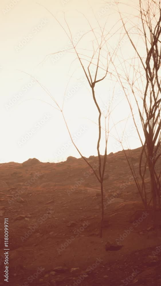 Storm of dust and sand in desert Storm of dust and sand in desert