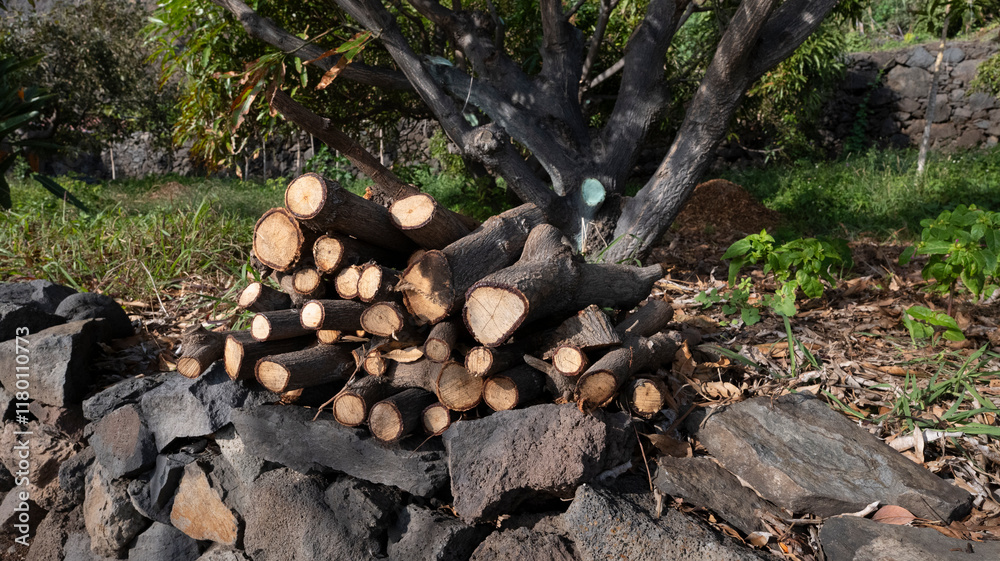 A neatly stacked pile of firewood on a stone base in an outdoor setting, surrounded by trees and greenery under natural sunlight. A neatly stacked pile of firewood on a stone base in an outdoor setting, surrounded by trees and greenery under natural sunlight.