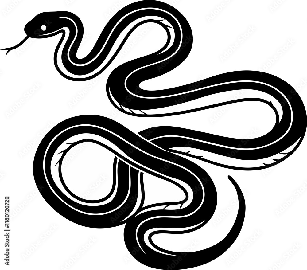 Fototapeta premium snake