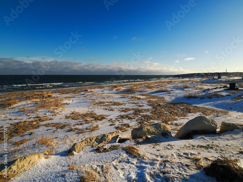 Zdjęcie krajobrazowe, słoneczny dzień nad brzegiem Zatoki Hudsona w Churchill, Manitoba, Kanada. Czyste błękitne niebo, chmury na horyzoncie, śnieg i żółta trawa, tundra