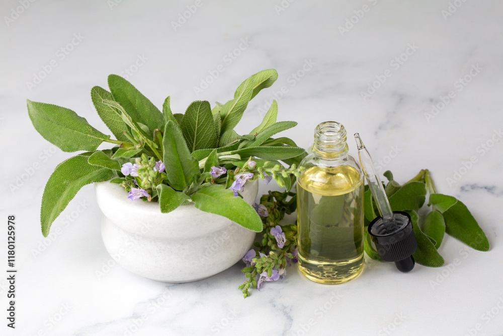 Cup of aromatic sage tea and fresh leaves