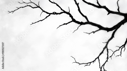 Wallpaper Mural A black and white photo of a bare tree branch Torontodigital.ca