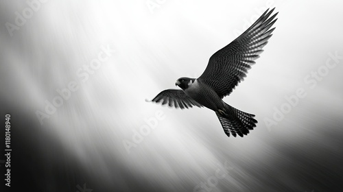 A peregrine falcon soaring through the sky at high speed, showcasing its hunting skills. Perfect for bird of prey action shots.  photo