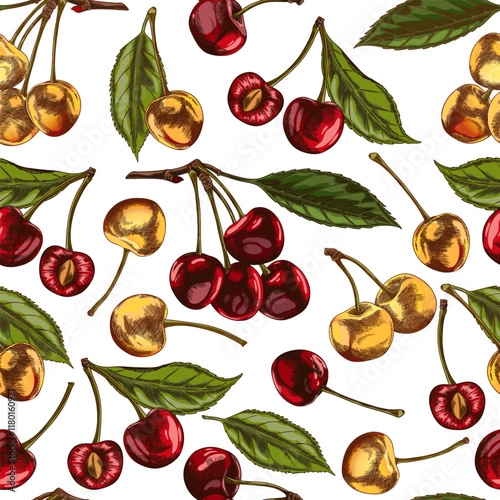 Seamless vector pattern of cherry berries with whole and half fruits on a white background.