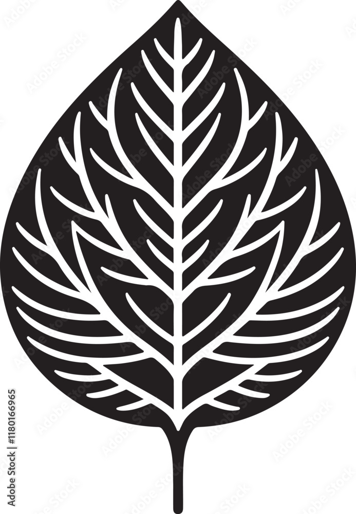 Fototapeta premium black and white leaf