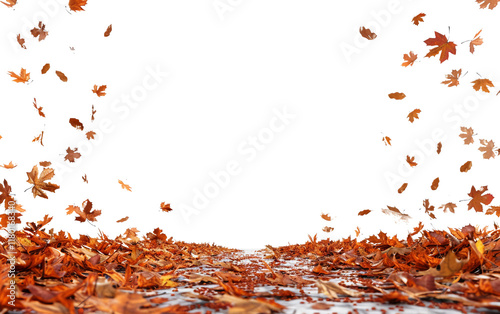 A Peaceful Forest Path Covered in Fall Leaves in Autumn Isolated on Transparent Background PNG