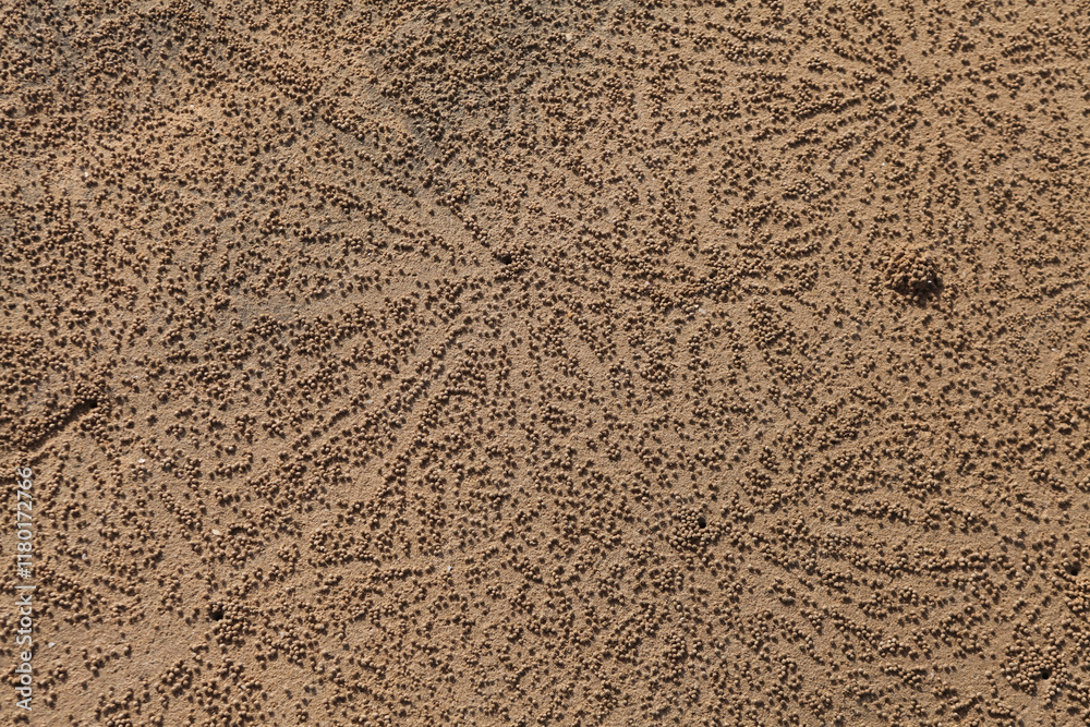 sand texture background