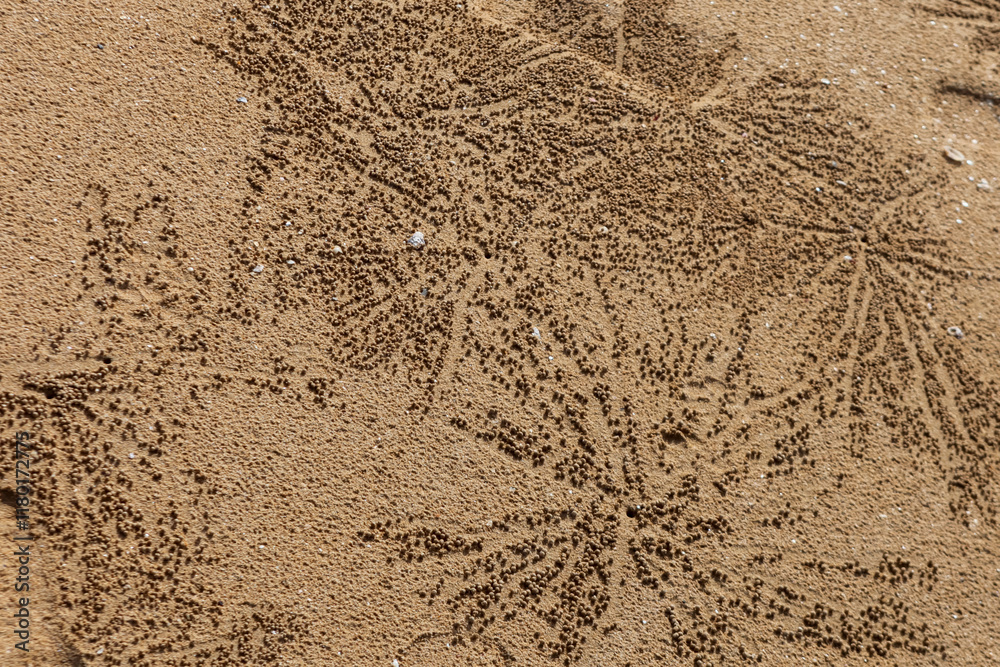 sand texture background