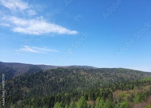 Hill