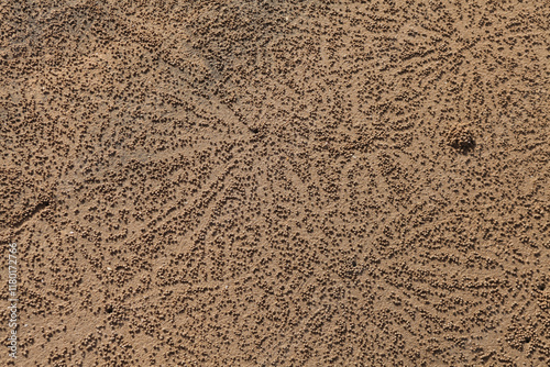 Obraz na płótnie sand texture background w salonie