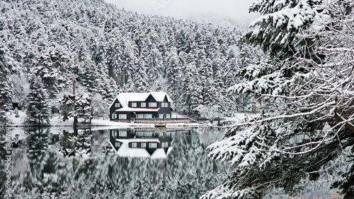 Bolu Golcuk National Park, lake wooden house on a snowy winter day in the forest in Turkey photo