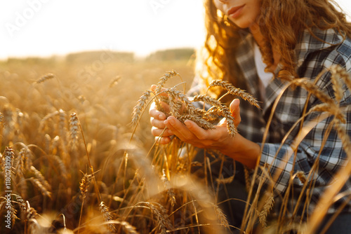 A woman farmer in a wheat field checks the harvest, quality. Agriculture food industry. Rich harvest. photo