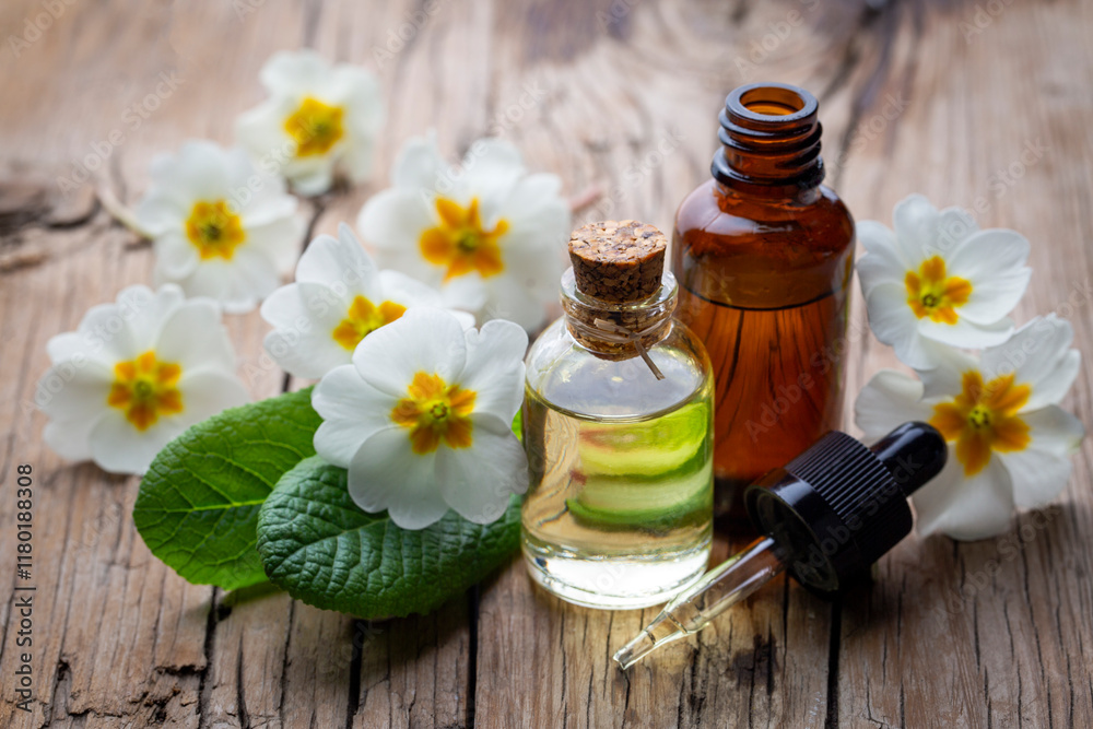 Organic cosmetics, Primula natural oil, handmade with herbal and primrose flower extracts in glass bottles
