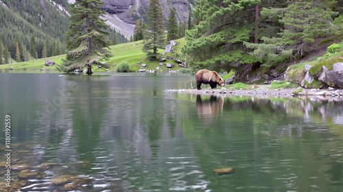 Bear in serene state by tranquil mountain lake  