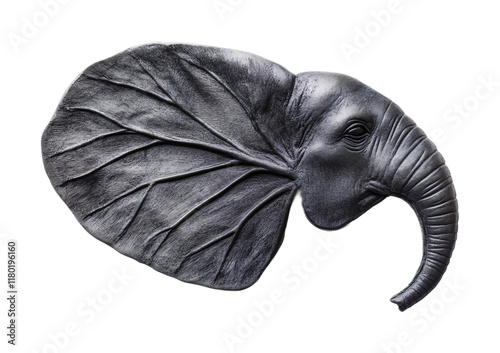 Tropical Elephant Ear Plant Isolated on White Background