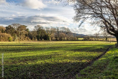 An agricultural field in rural Sussex, on a sunny January day photo