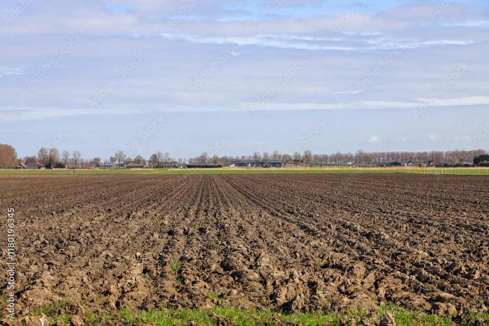 Muddy fields after potato harves in the low Zuidplaspolder Muddy fields after potato harves in the low Zuidplaspolder