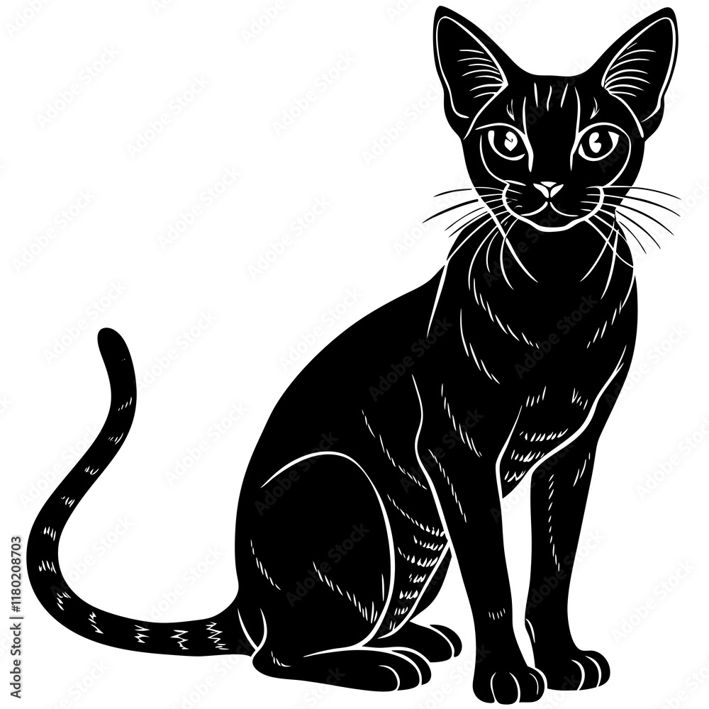 Abyssinian Cat Outline Abyssinian Cat Outline