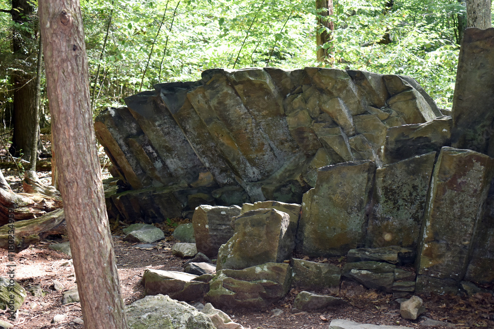 Columnar jointing geological features on
Limberlost trail Shanandoah National Park
Columnar jointing geological features on
Limberlost trail Shanandoah National Park