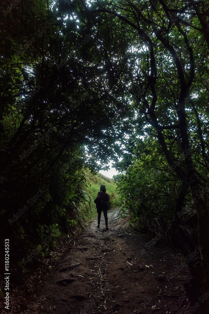 Obraz premium Woman hiking a shaded forest trail. Sunlight filters through the canopy. Nature exploration. Karekare, Auckland, New Zealand