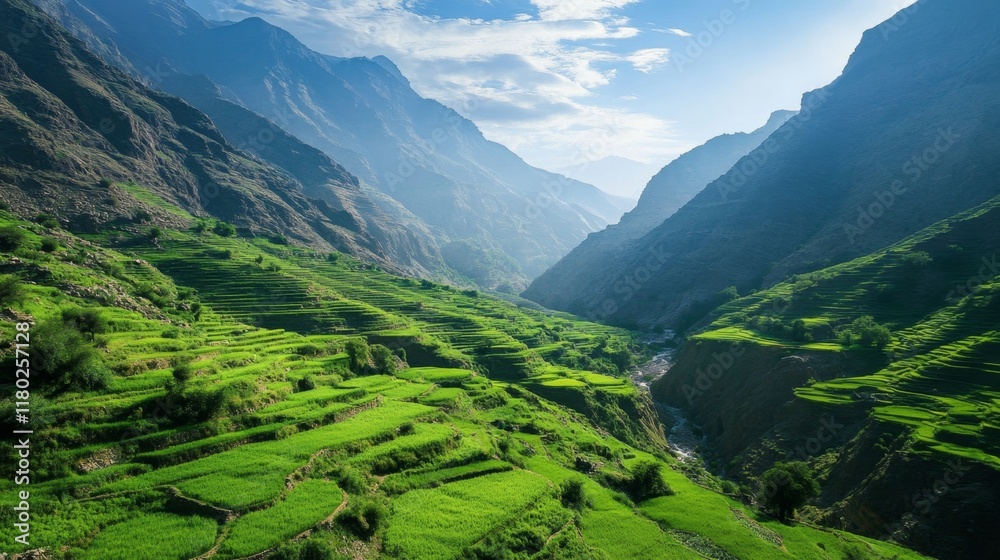 Naklejka premium Breathtaking Mountain Valley with Lush Terraced Fields