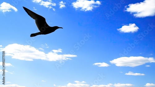 Seagull flying in a blue sky with clouds.  Possible use Nature wallpaper.