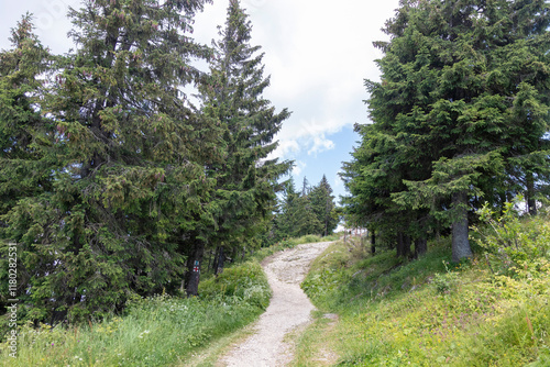 View from Postavarul Massif, Poiana Brasov, Romania photo