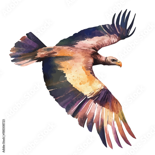 A watercolor of a vulture gliding over a desert, isolated on a white background. Vulture vector.
