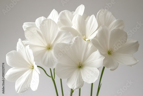 A vase filled with white flowers sits on a table, perfect for decoration or gift