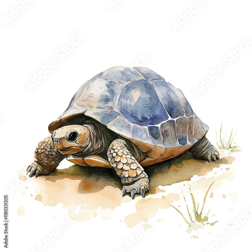 A watercolor clipart of a tortoise crawling slowly on the ground, isolated on a white background. Tortoise vector.
