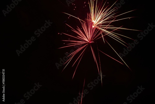 fireworks in the night sky