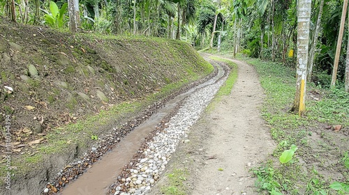 Tropical irrigation ditch, winding path through lush forest. photo