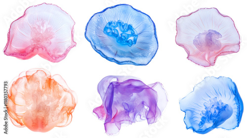 Jellyfish with soft glowing textures and vibrant tentacles isolated on white background