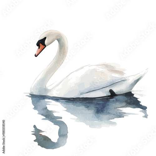 A watercolor clipart of a swan gliding gracefully across the lake, isolated on a white background. Swan vector.
