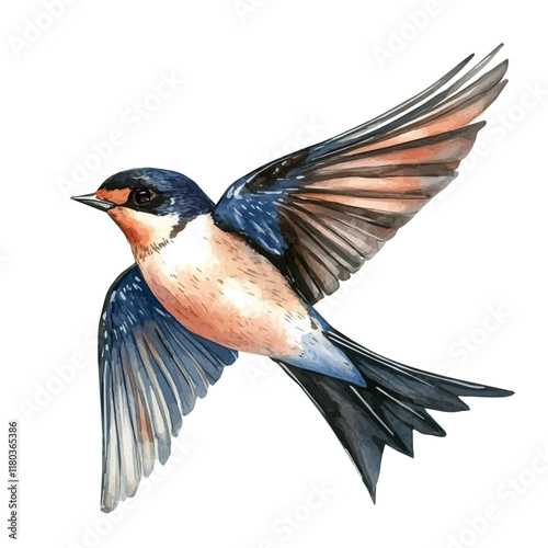 A watercolor clipart of a swallow gliding over a river, isolated on a white background. Swallow vector.
