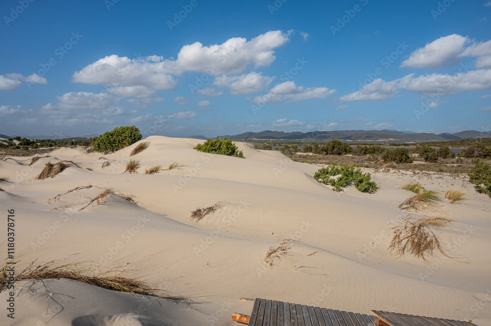 The beautiful beach of Is Solinas in Sardinia with its high white dunes on a windy day