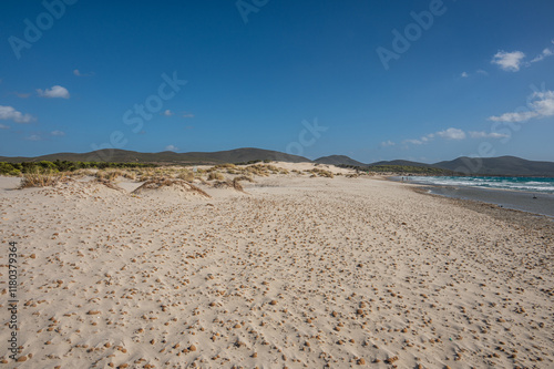 Obraz na płótnie The beautiful beach of Is Solinas in Sardinia with its high white dunes on a windy day w salonie