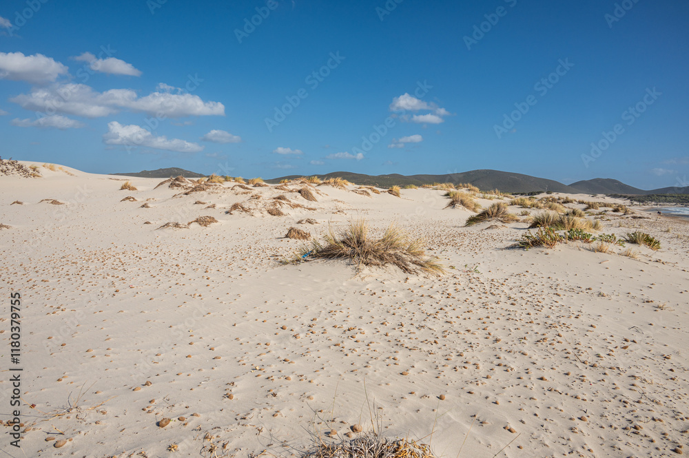 The beautiful beach of Is Solinas in Sardinia with its high white dunes on a windy day