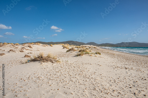 The beautiful beach of Is Solinas in Sardinia with its high white dunes on a windy day