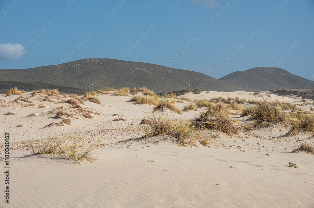 The beautiful beach of Is Solinas in Sardinia with its high white dunes on a windy day