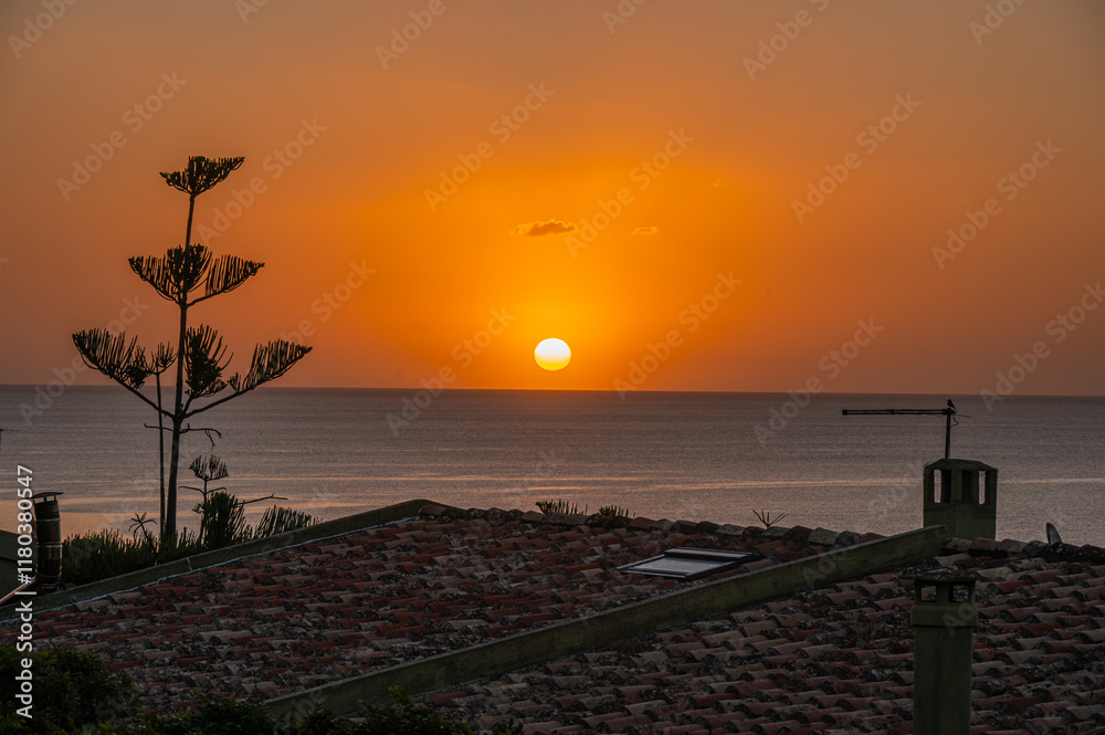 Sunset with sun and red sky on the sea of Sardinia with the silhouette of an agave