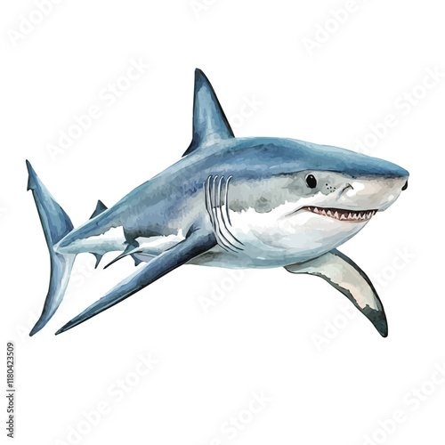 A watercolor drawing of a shark patrolling the ocean, isolated on a white background. Shark vector.
